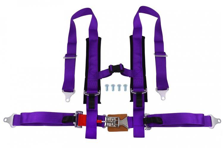 Racing seat belts 4p 2″ Purple – DTM